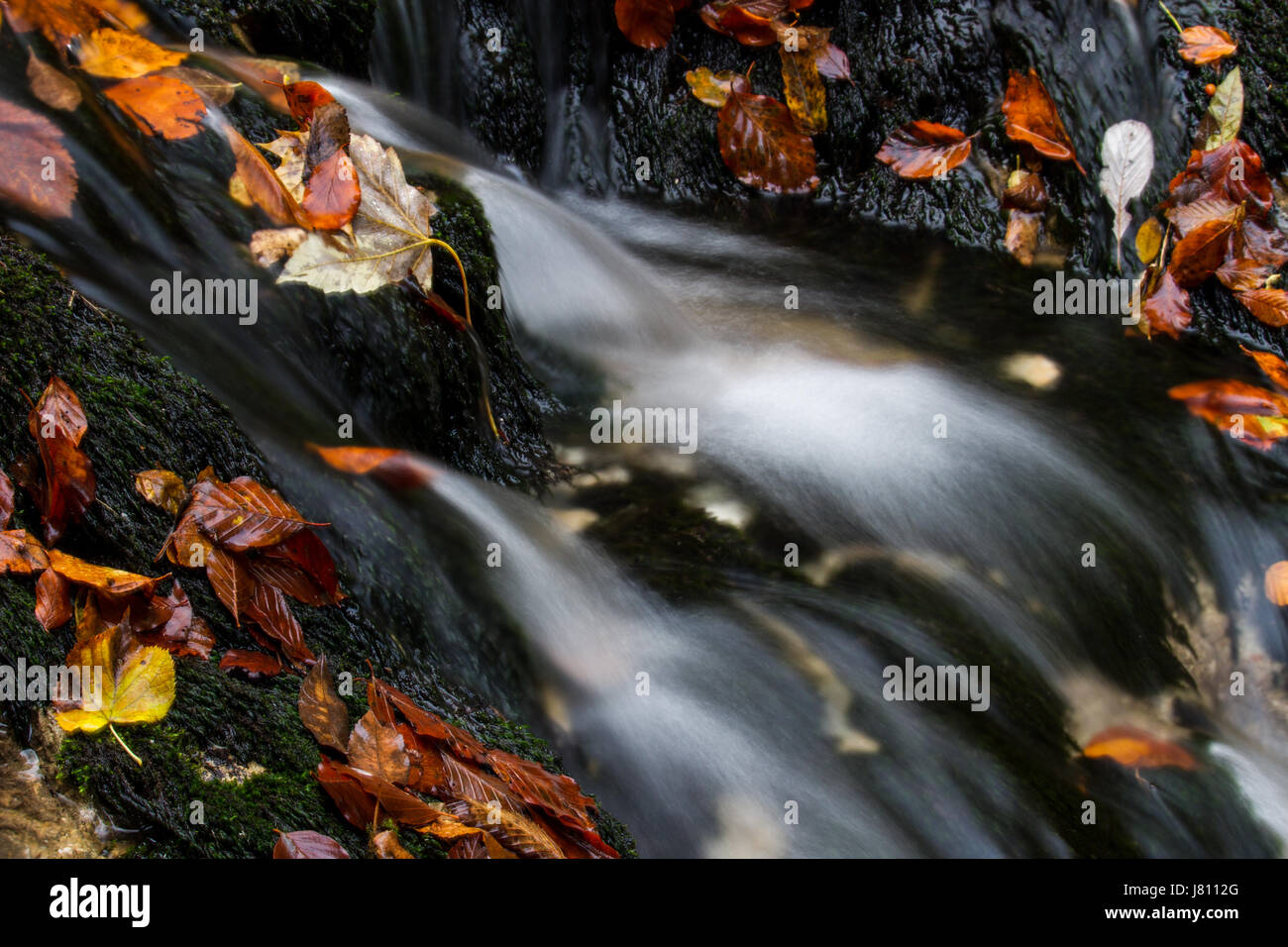 Wasser läuft über Felsen und bunten Herbst Blätter lange Exposition-Slowenien Stockfoto