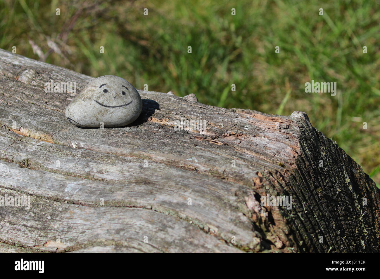 Stein mit Smiley-Gesicht kennzeichnen, auf auf einem Baumstamm in das Phänomen Wald Berkshire Stockfoto