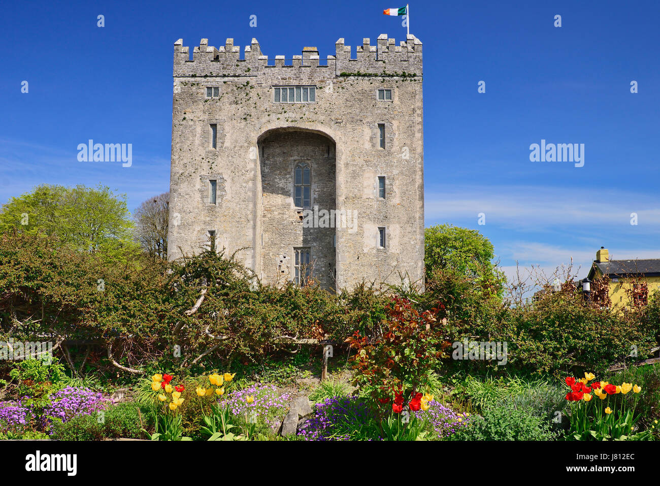 Irland, County Clare, Bunratty Castle. Stockfoto