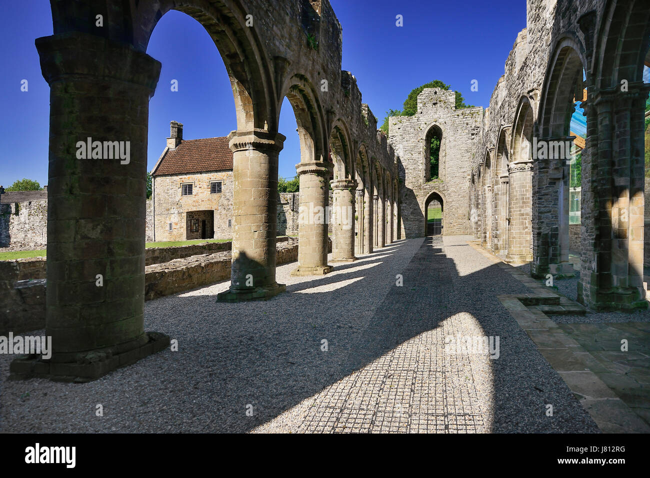 Irland, County Roscommon, Boyle Boyle Abbey, Ruine 12. Jahrhundert Zisterzienser. Stockfoto