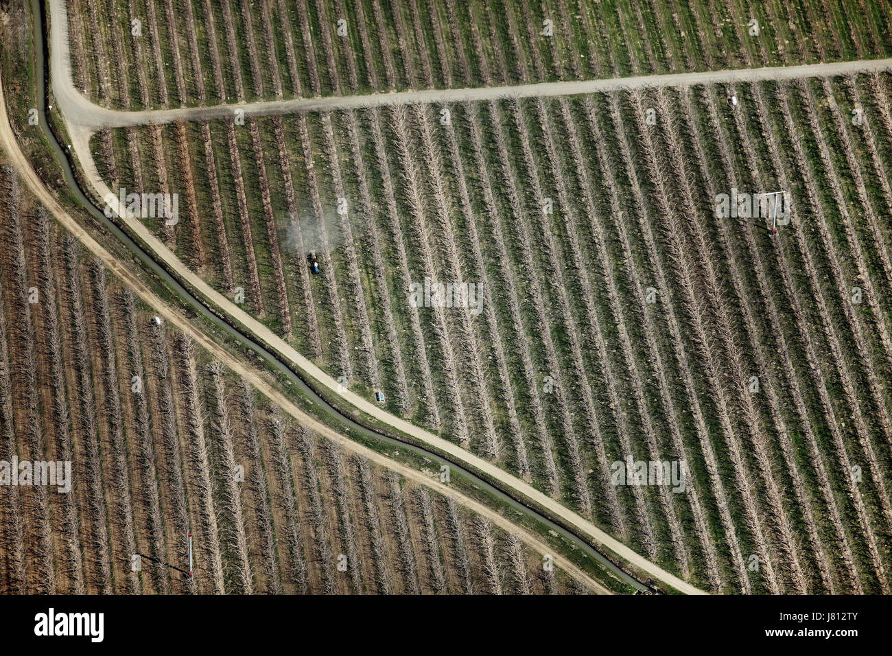 Eine Luftaufnahme von Chemikalien auf Obstgärten vor den Blättern angewendet wird beginnen zu wachsen, im US-Bundesstaat Washington. Stockfoto