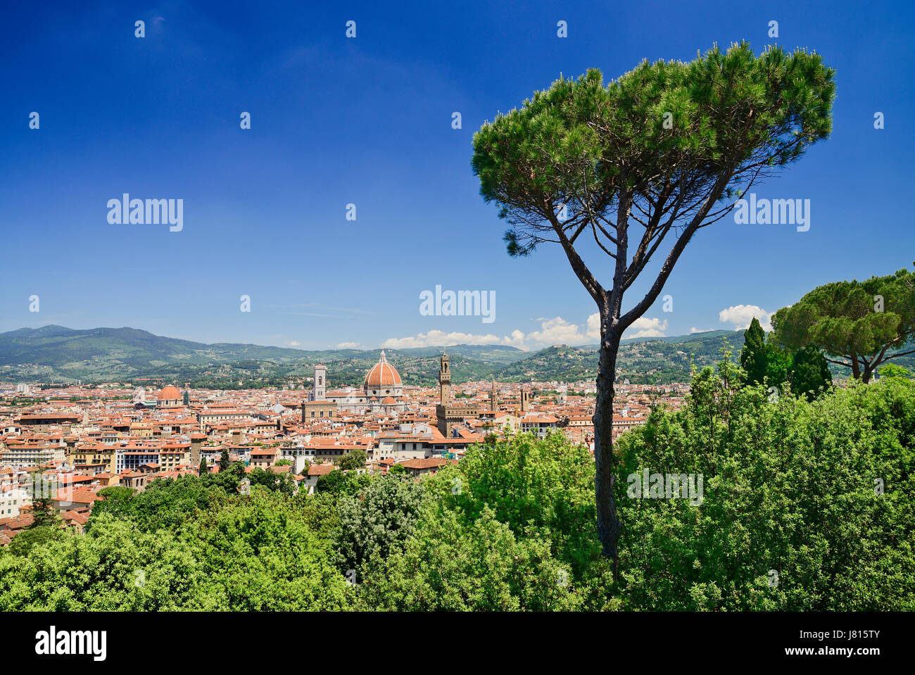 Italien, Toskana, Florenz, Blick auf die Stadt vom Forte Belvedere in der Nähe von Boboli-Gärten. Stockfoto