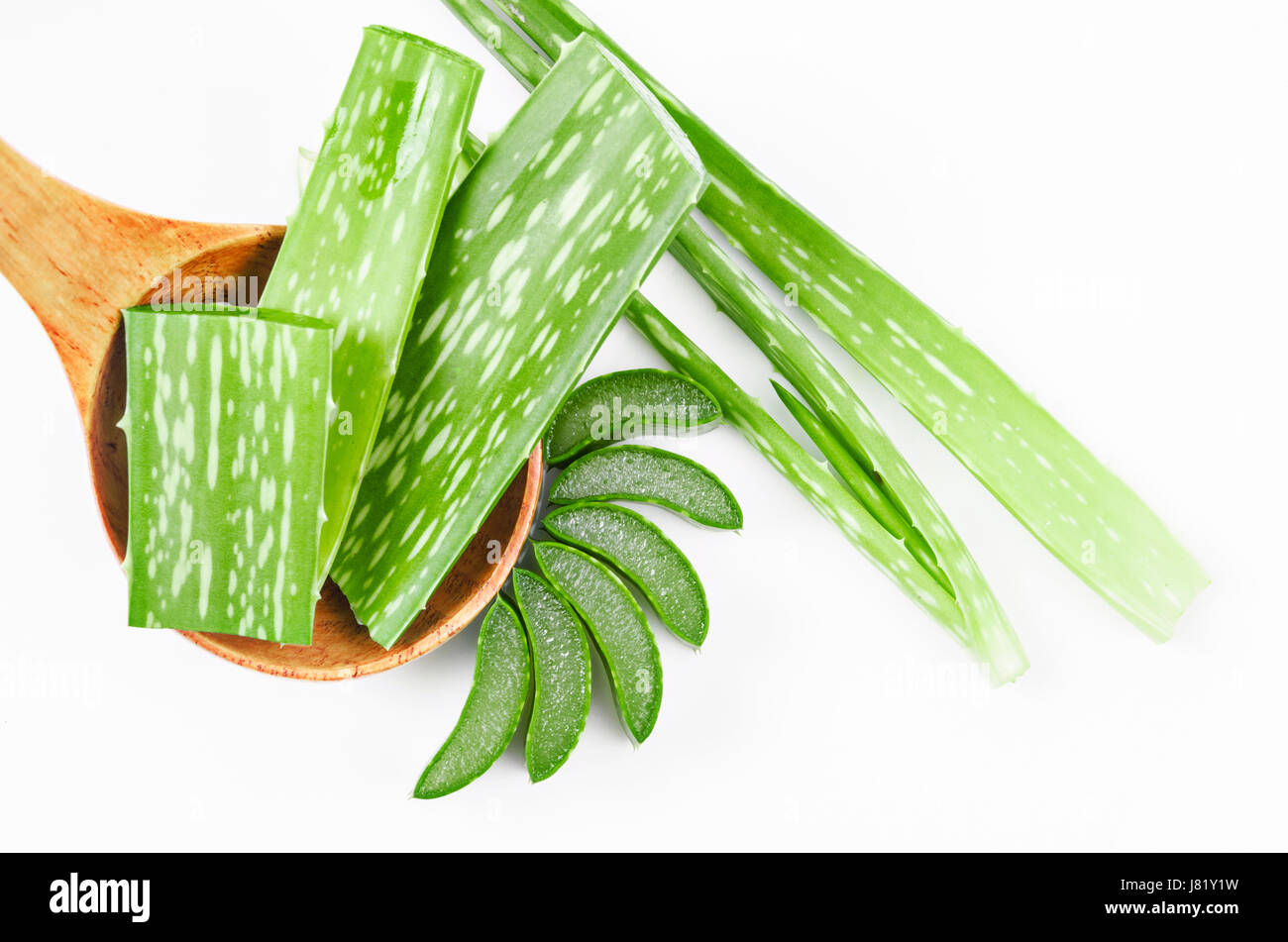 Schneiden Sie Aloe Vera ein sehr nützliches Kräutermedizin für Hautpflege und Haarpflege isoliert auf weißem Hintergrund in Scheiben. Stockfoto