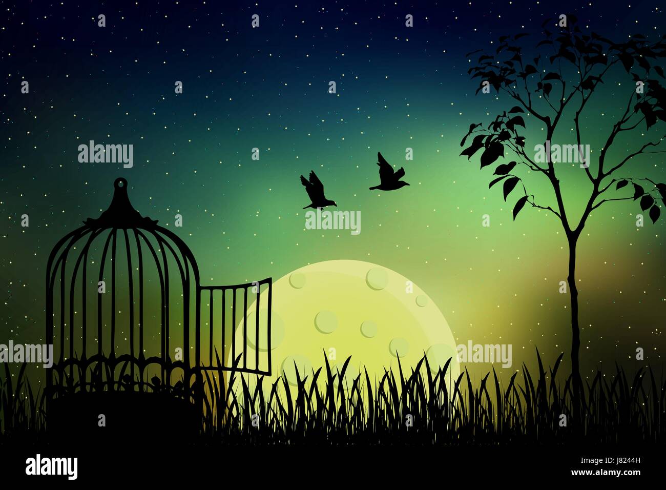 Vögel paar Flucht aus einem Käfig, in die Natur freigesetzt. Schöne und positive Vektor-Illustration mit dem Vollmond und Sternenhimmel Hintergrund. Stock Vektor