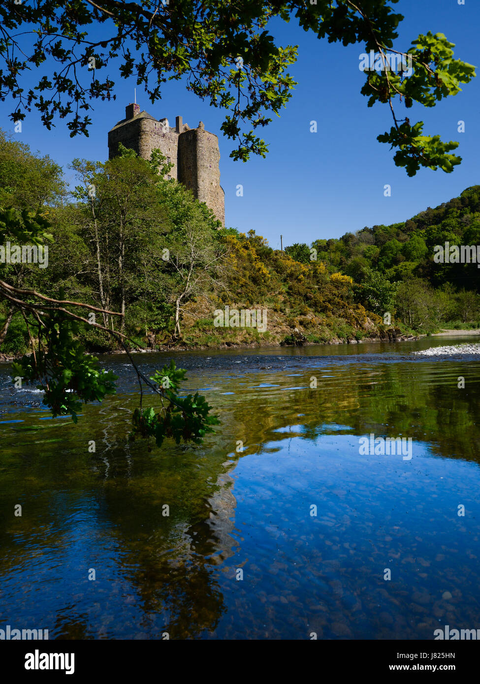 Neidpath Castle über dem Fluss Tweed in Peebles in der schottischen Grenzen Stockfoto