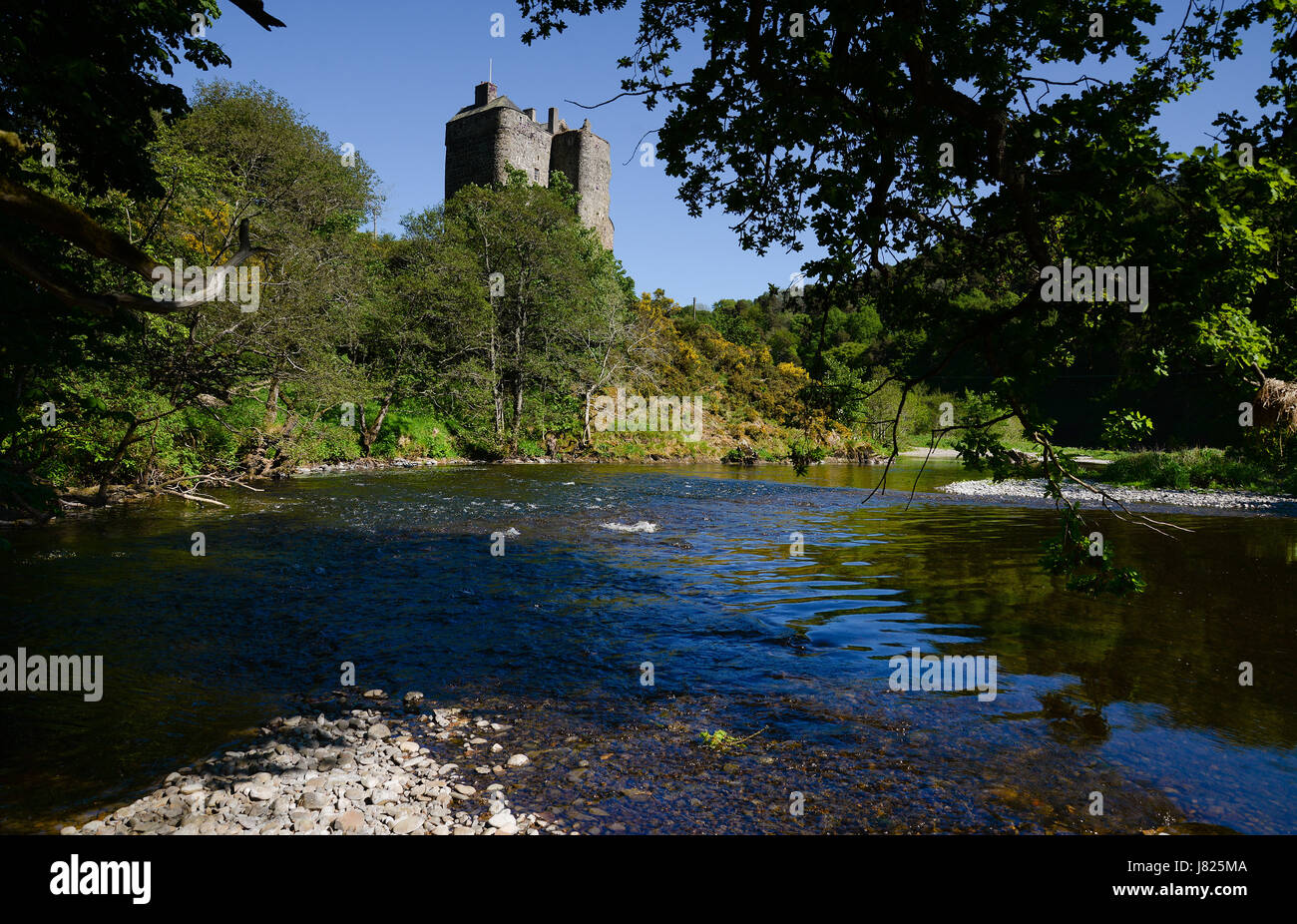 Neidpath Castle über dem Fluss Tweed in Peebles in der schottischen Grenzen Stockfoto