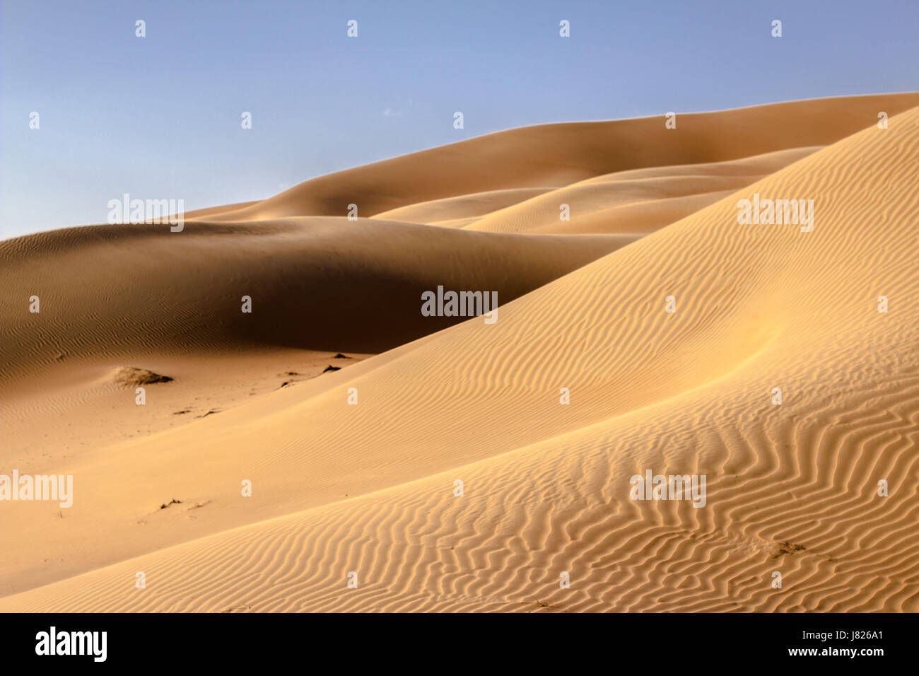 Wüste Dünen im Qasr Al Sarab Desert, Abu Dhabi, Vereinigte Arabische Emirate Stockfoto