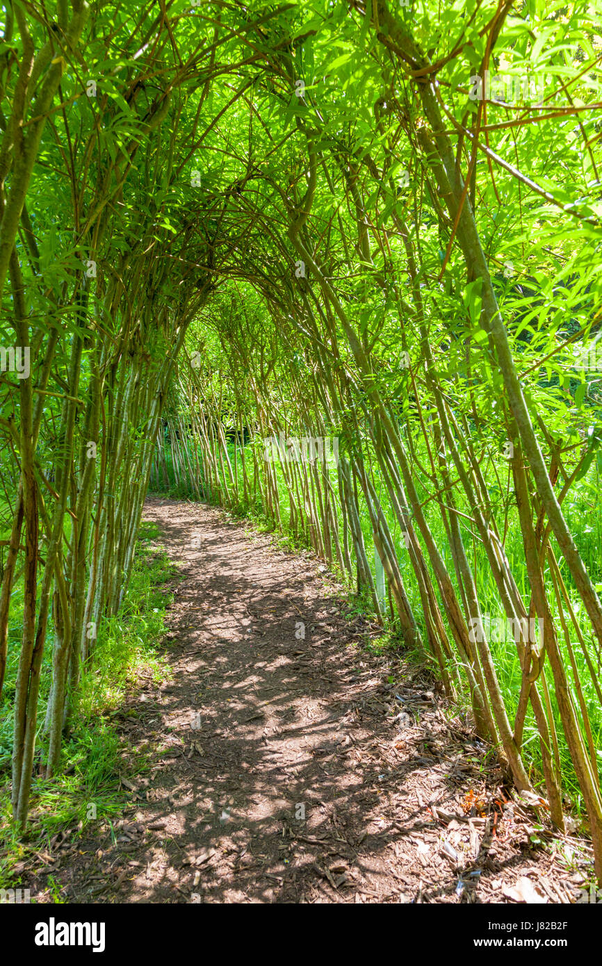Bambus garten -Fotos und -Bildmaterial in hoher Auflsung  Alamy