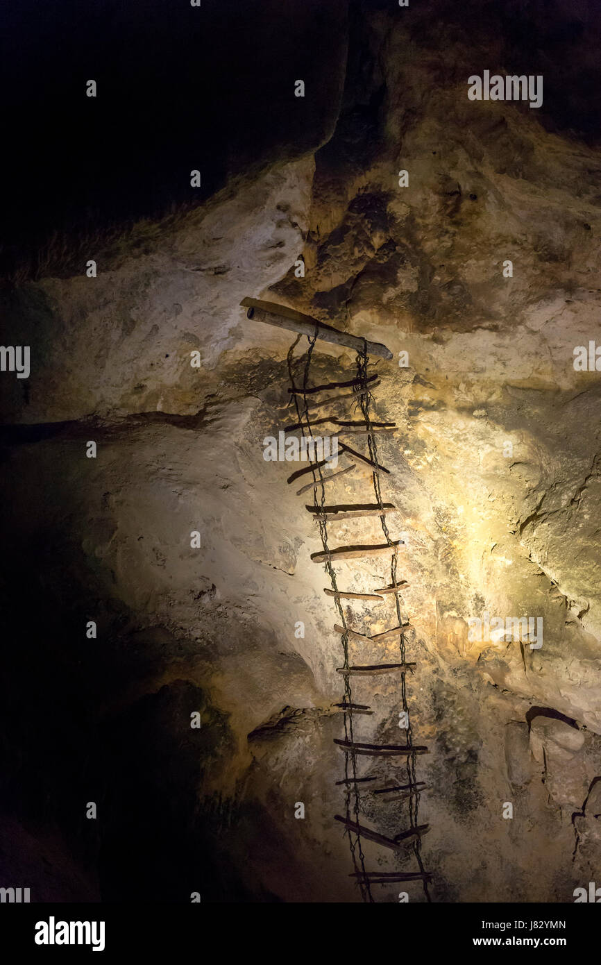 Carlsbad Caverns National Park (New Mexico) eine Leiter, die in der frühen Erforschung der Carlsbad Caverns verwendet. Stockfoto