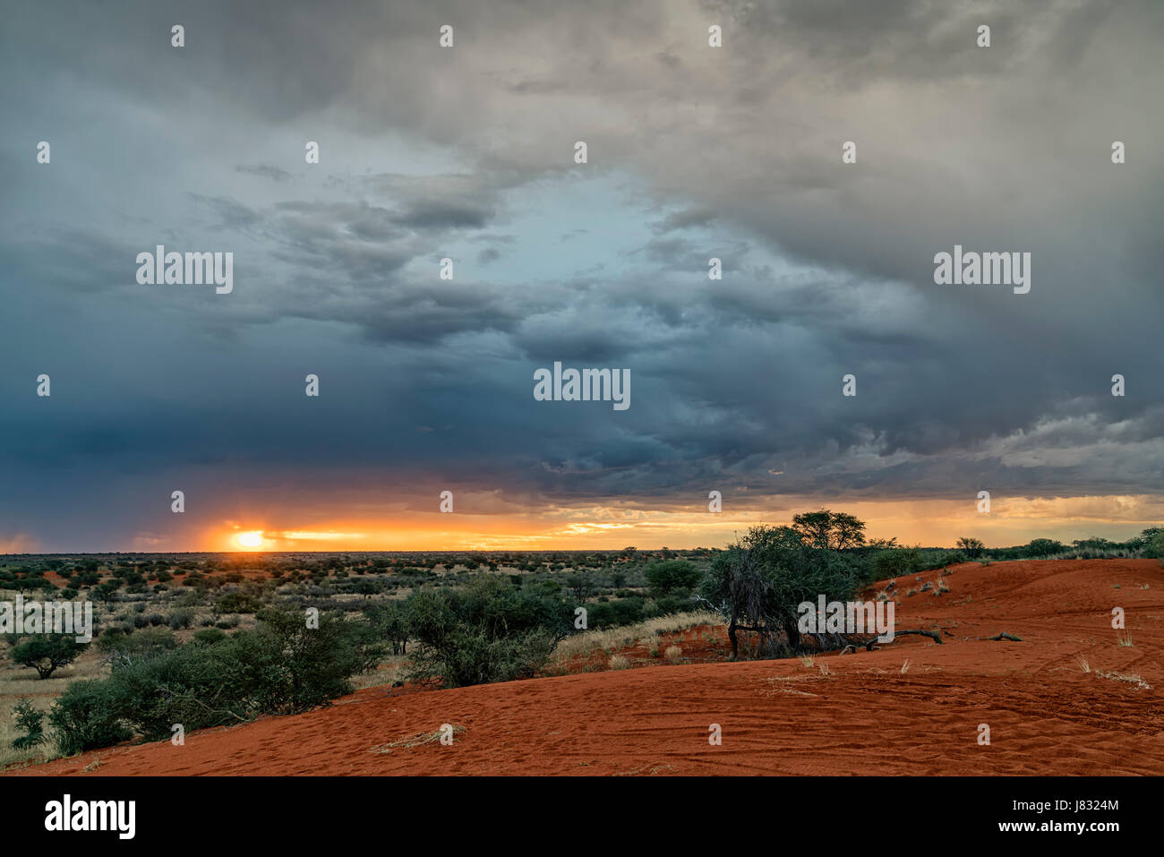 Kalahari-Sonnenuntergang Stockfoto