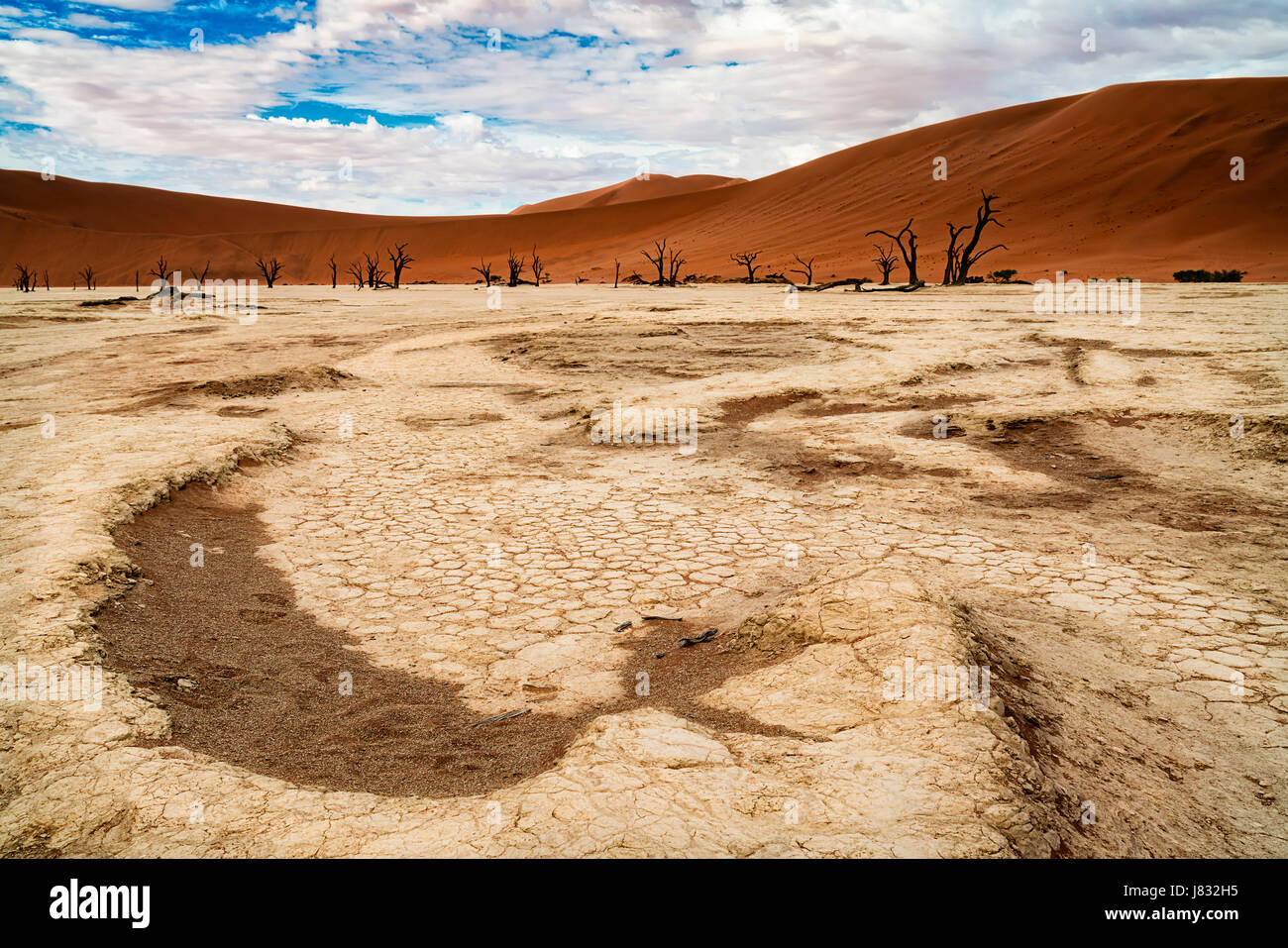 Deadvlei Pfanne Stockfoto