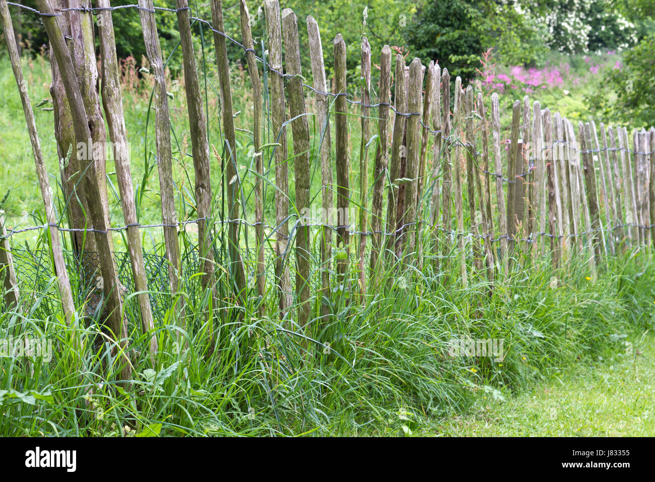 Gartenzaun Holz Zaun In Dekorativen Garten Holzzaun Holz Alter Fechten Stockfotografie Alamy