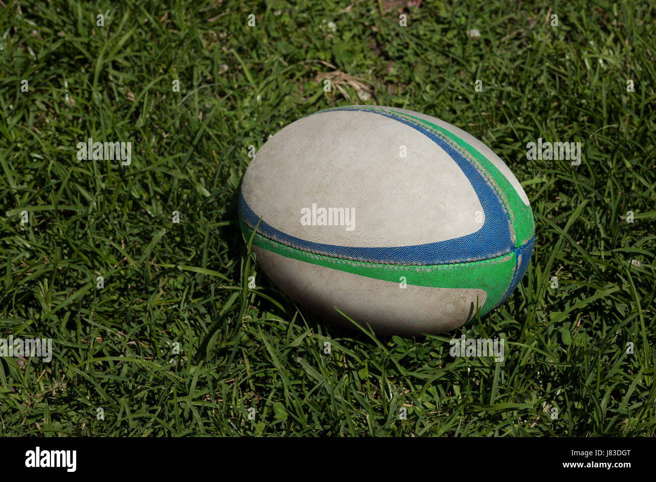 Erhöhte Ansicht des Rugby-Ball auf Wiese Stockfoto