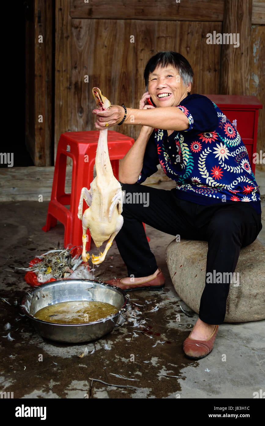 Chinesische Frau hält frisch gepflückten Ente und lächelt während auf Zelle Telefon, Yubei altes Dorf, Yantan Stadt, Boteli County, Zhejiang Province, China Stockfoto