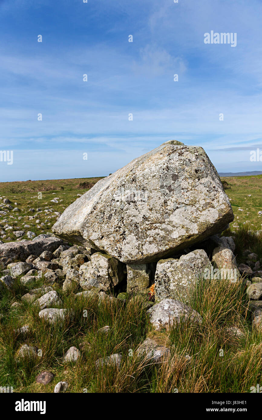 Arthur Stein, neolithische Grabkammer Cefn Bryn, Gower, Wales, UK Stockfoto