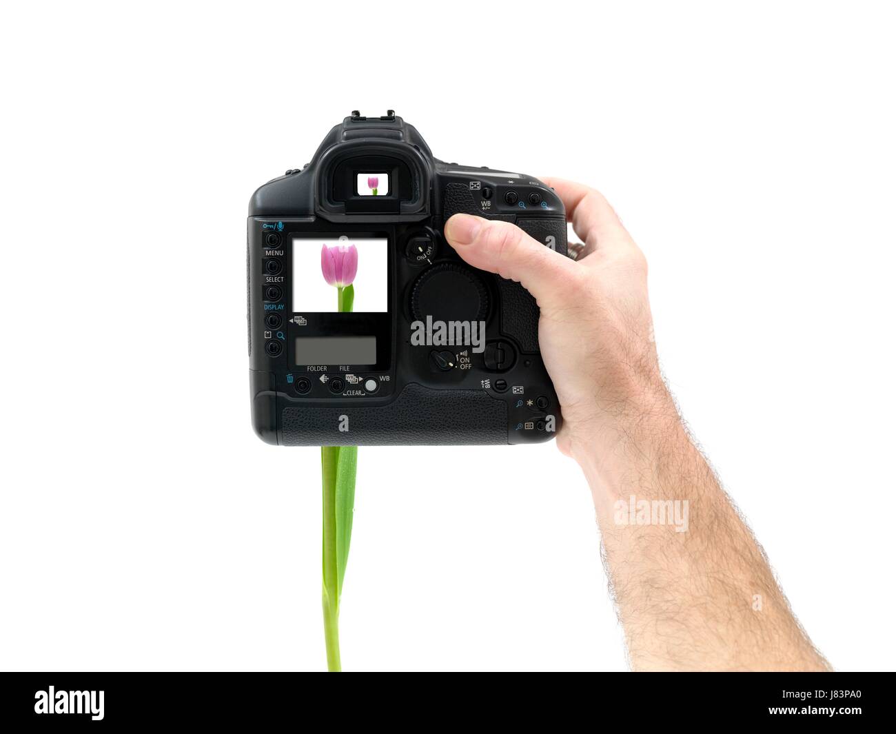 Glas Kelch Becher Objekt isoliert moderne moderne Elektronik Foto-Kamera Stockfoto