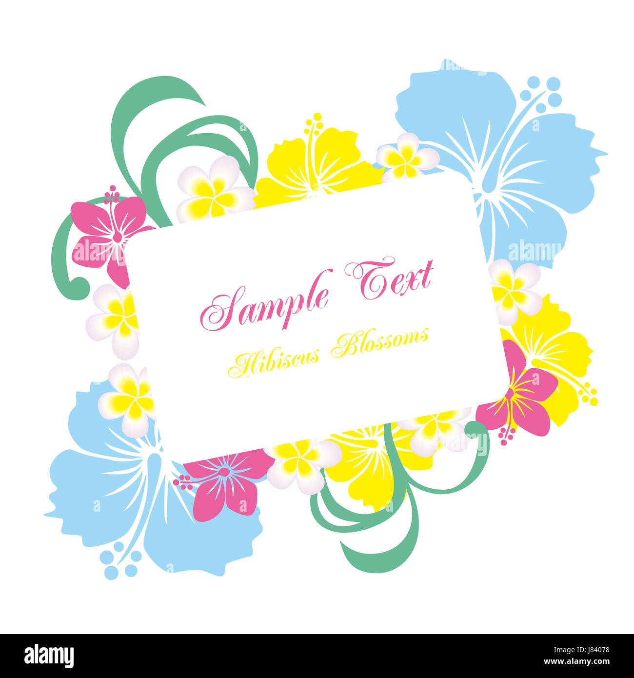 Blume Pflanze Sommer sommerlich Hibiskus Rahmen Hintergrund Hintergrund Hawaii Schönheit Stockfoto