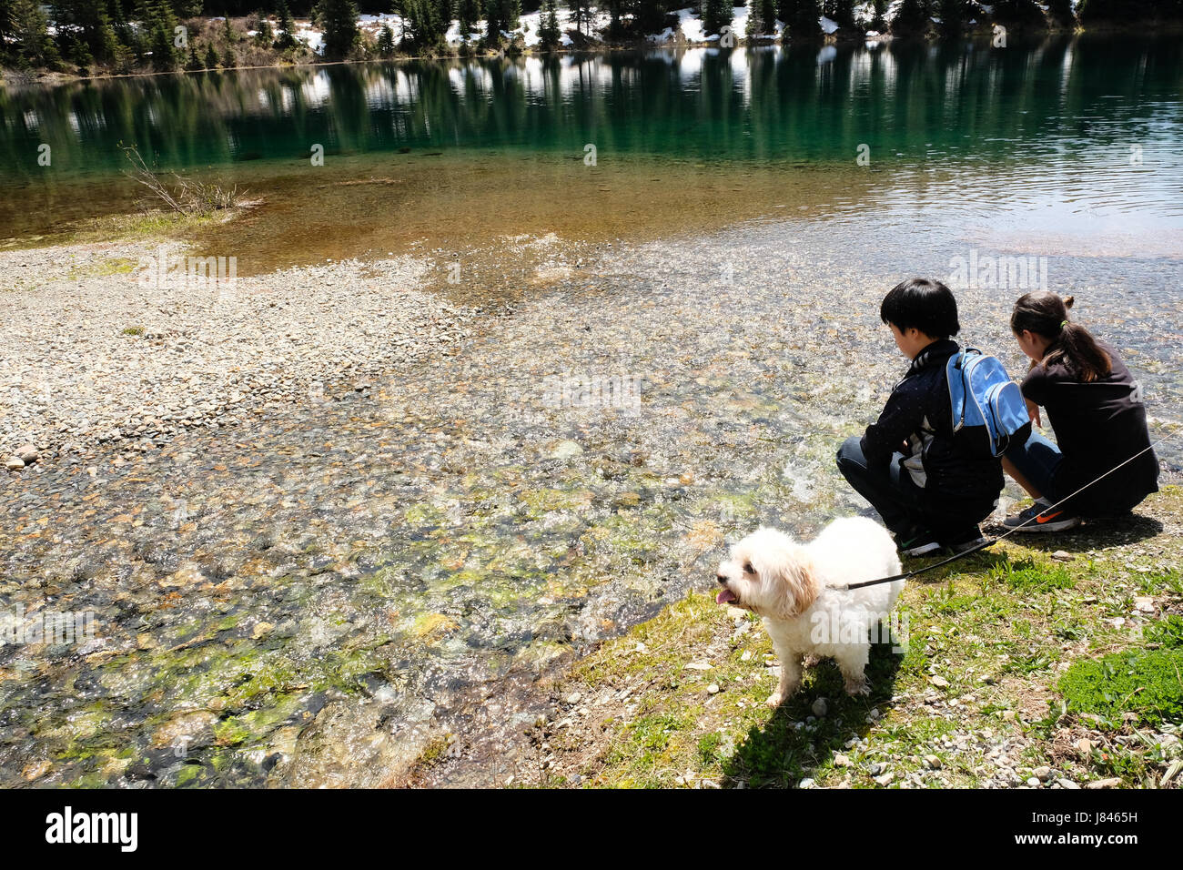 Asiatische junge und ein Mädchen sitzen ein Bergsee mit ihrem Hund auf  einen sonnigen Tageswanderung Stockfotografie - Alamy