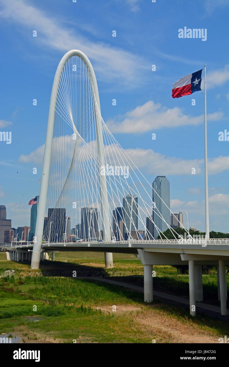 Die Margaret Hunt Hill Bridge in Dallas ist vom spanischen Architekten Santiago Calatrava entworfen und ist ein architektonisches Symbol für die Stadt geworden. Stockfoto