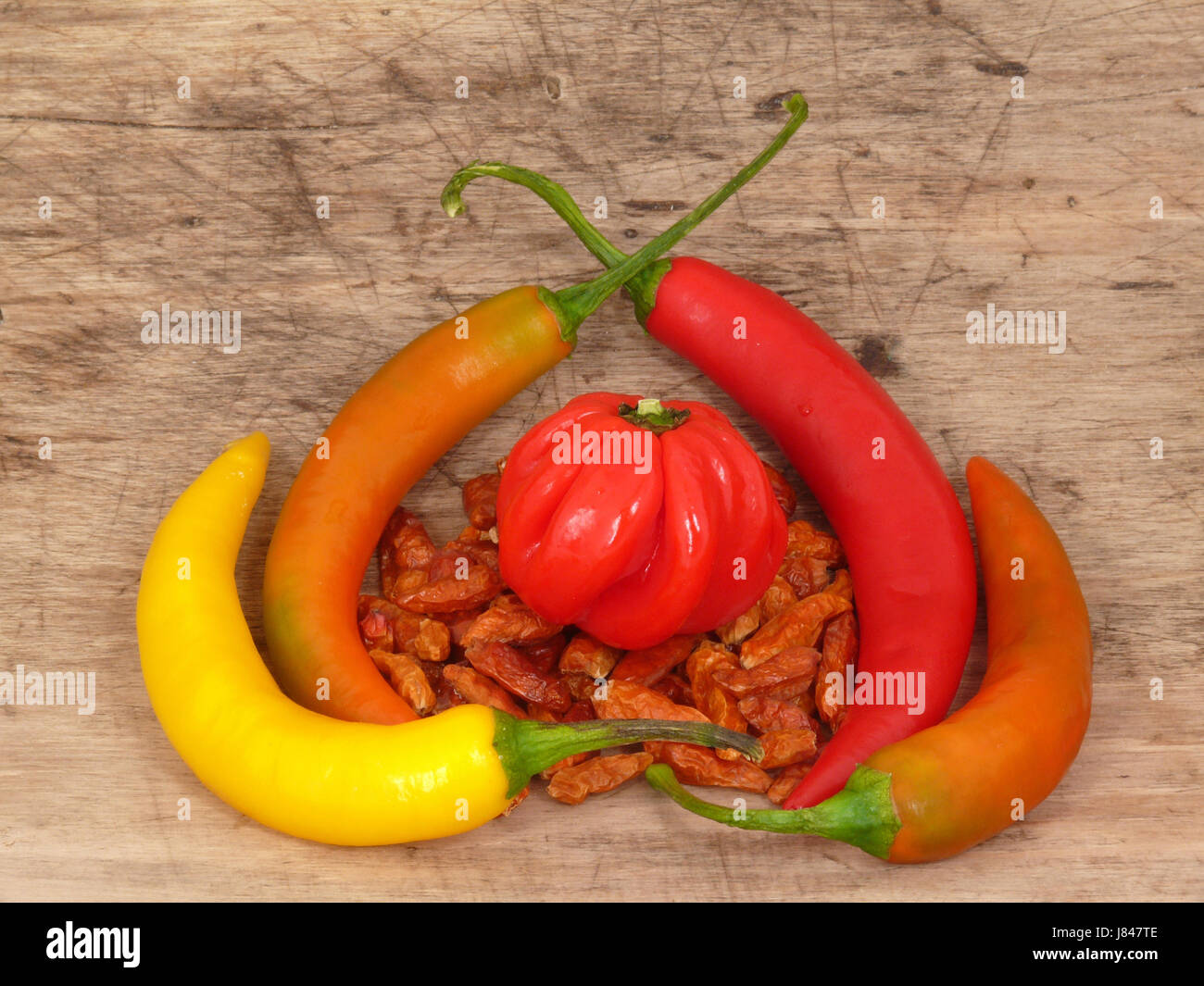 Paprika Paprika rot Gefahr Gewürz Antik farbig bunt wunderschön Stockfoto