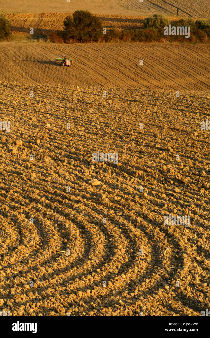 Landwirtschaft Landwirtschaft Feld Muster gepflügt essen Nahrungsmittel Agrar Landwirtschaft Stockfoto
