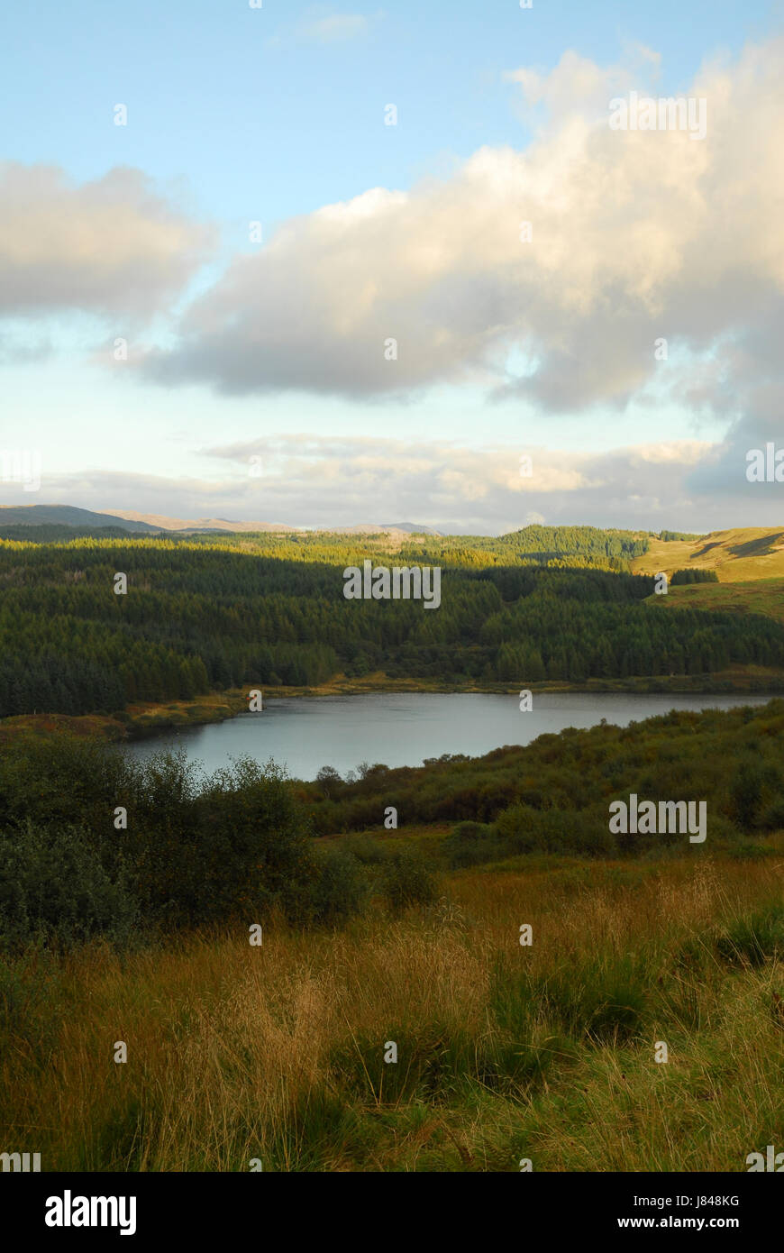 Baum Bäume Wasser Pflanzen Schottland Süßwasser Seenlandschaft Binnengewässer Wasser Stockfoto