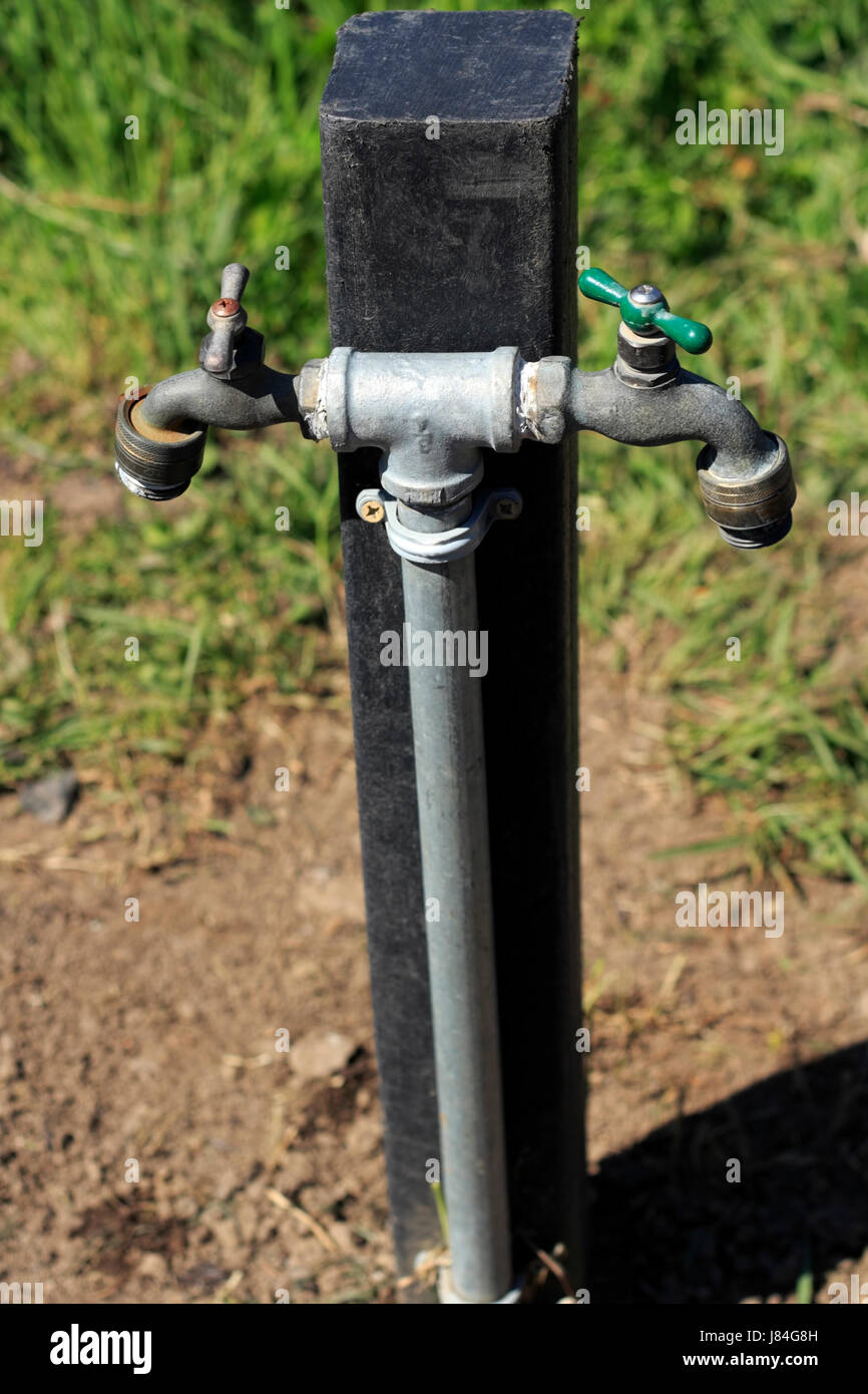 Wasserhahn Doppel zwei Garten Glanz strahlt helles lucent Licht heiter  hellen sonnigen Stockfotografie - Alamy