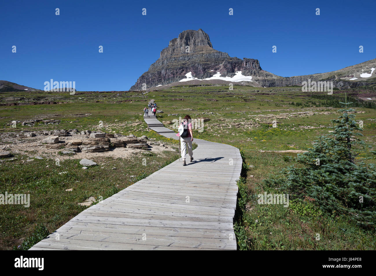 Wanderweg, Hidden Lake Trail, hinten Clements Berg, Glacier Nationalpark, Rocky Mountains, Montana, USA Stockfoto
