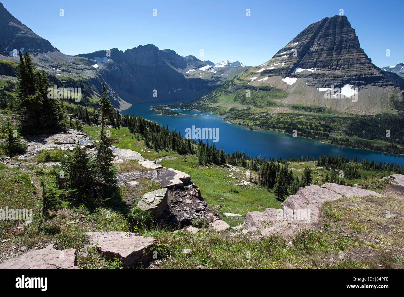 Versteckten See mit Bearhat Berg, Glacier Nationalpark, Rocky Mountains, Montana, USA Stockfoto