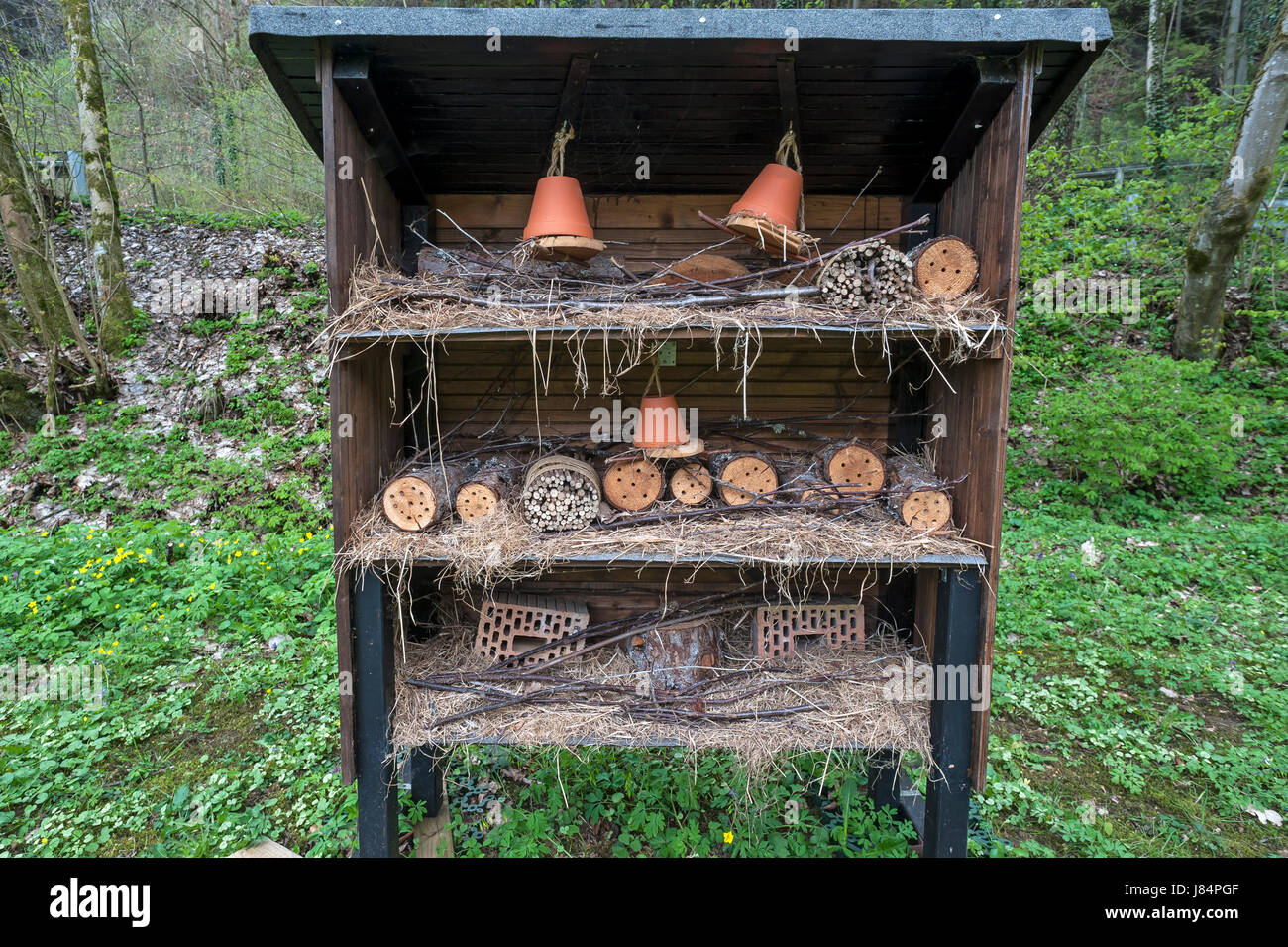 Insektenhaus, Bayern, Deutschland Stockfoto