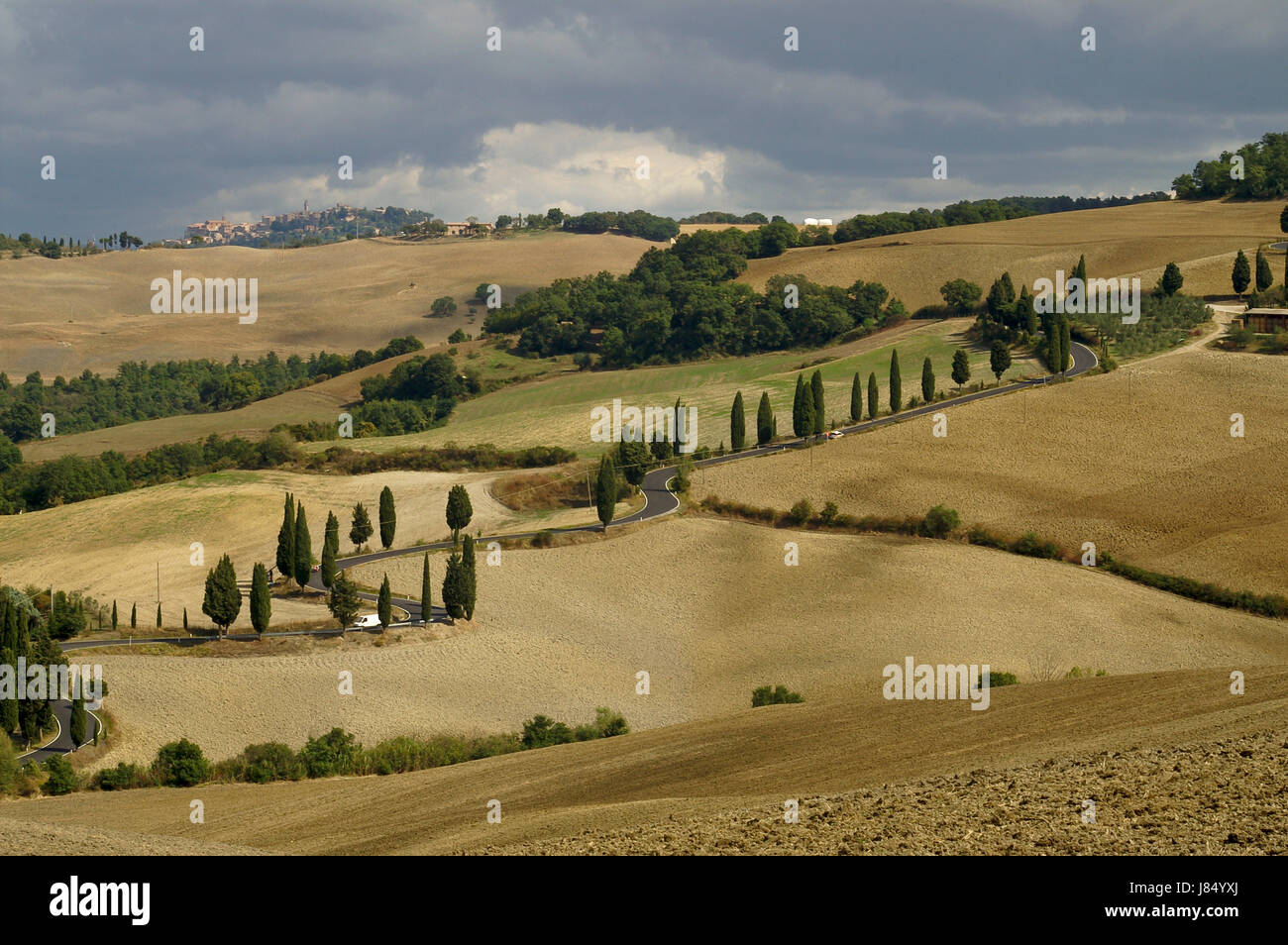 Korn Toskana Felder Ackerland Landschaft Landschaft Landschaft Natur Italien Getreide Stockfoto