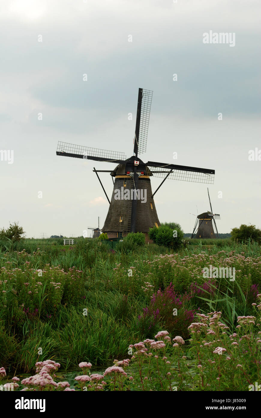 Holland Windmühle niederländischen blau Umwelt Umwelt Kultur Landwirtschaft Landwirtschaft Stockfoto