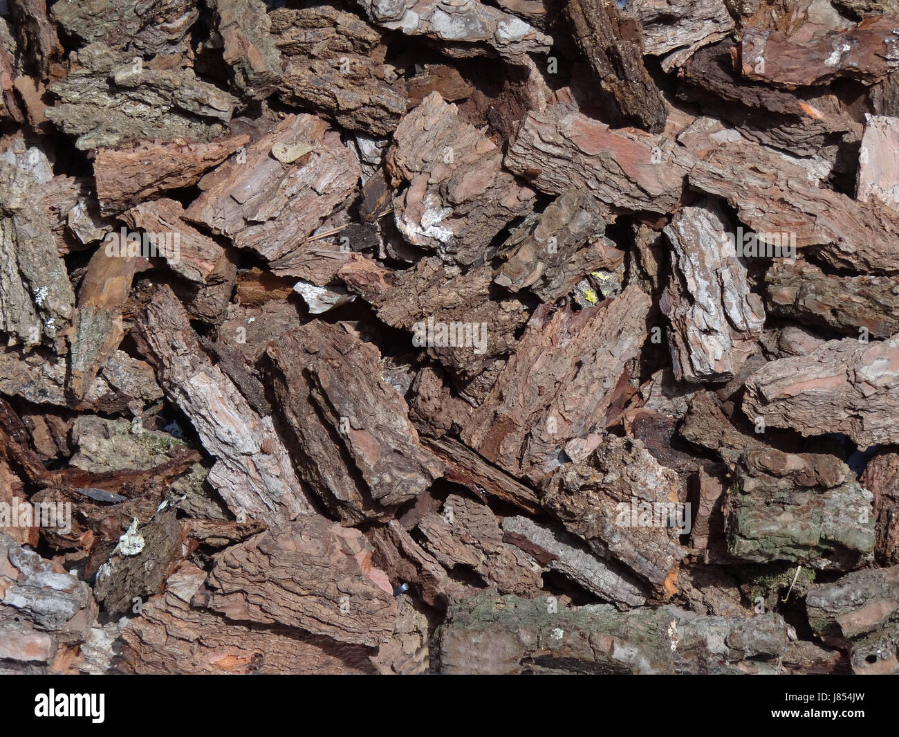 Braun bräunlich Brünette Kiefer Kompost Dekoration Landschaftsbau Rinde Hintergrund Stockfoto