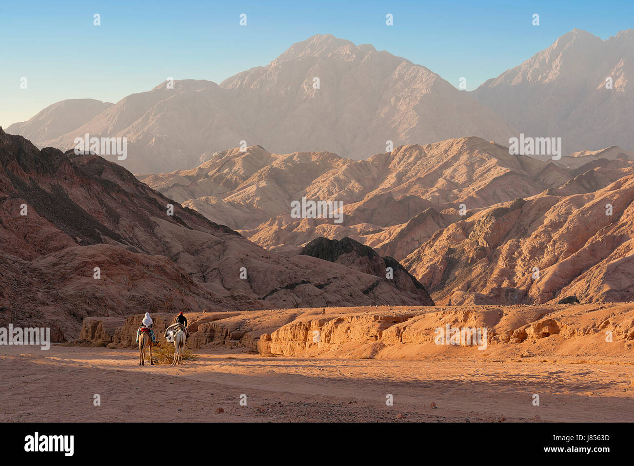 durch die Sinaiwüste Stockfoto