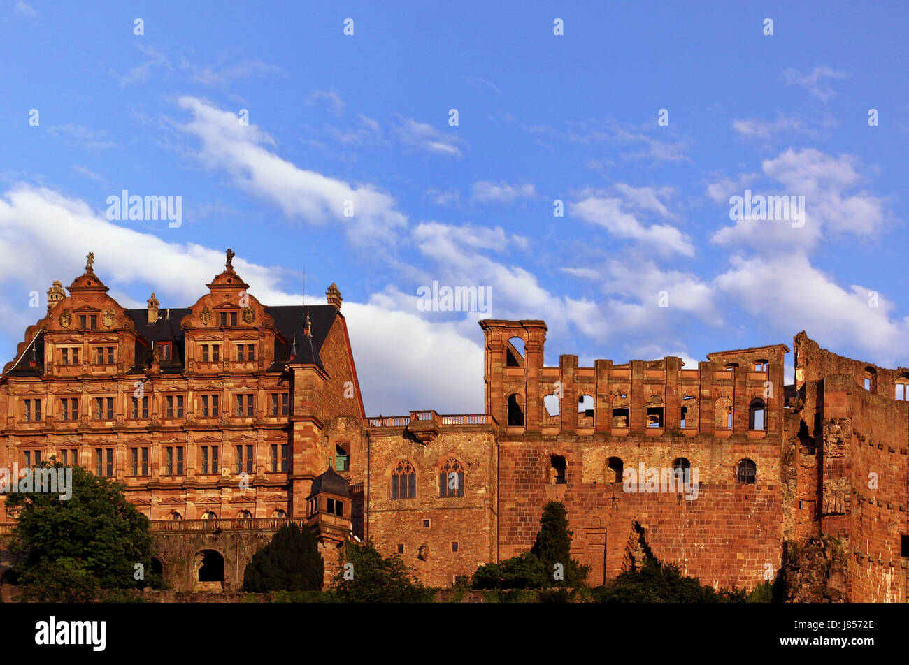 Das Heidelberger Schloss Stockfoto