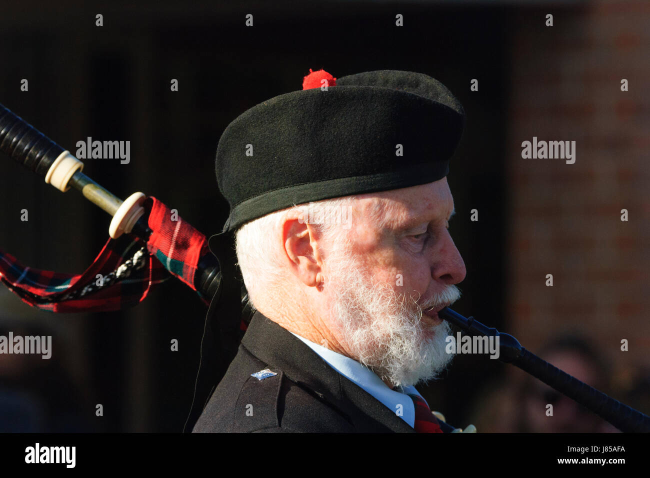 Schottische Piper tragen ein Tam o Shanter, Celtic Music Festival, Berry, New-South.Wales, NSW, Australien Stockfoto