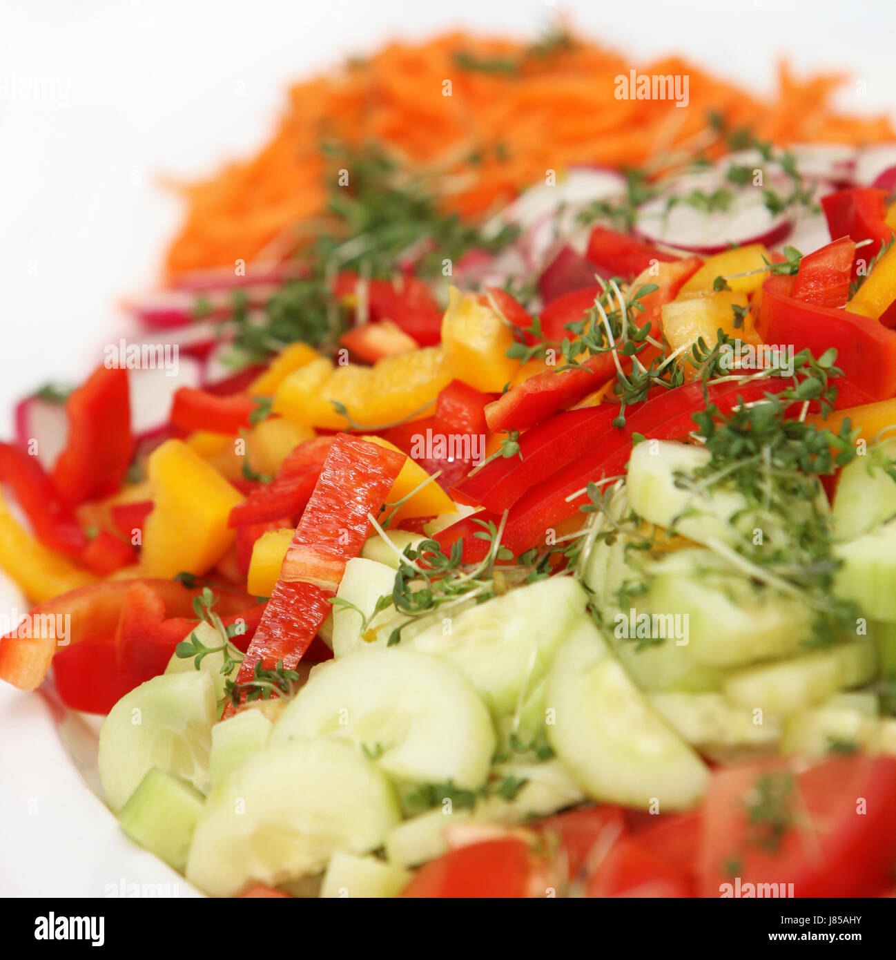 frischer Salat mit Paprika und Gurken Stockfoto