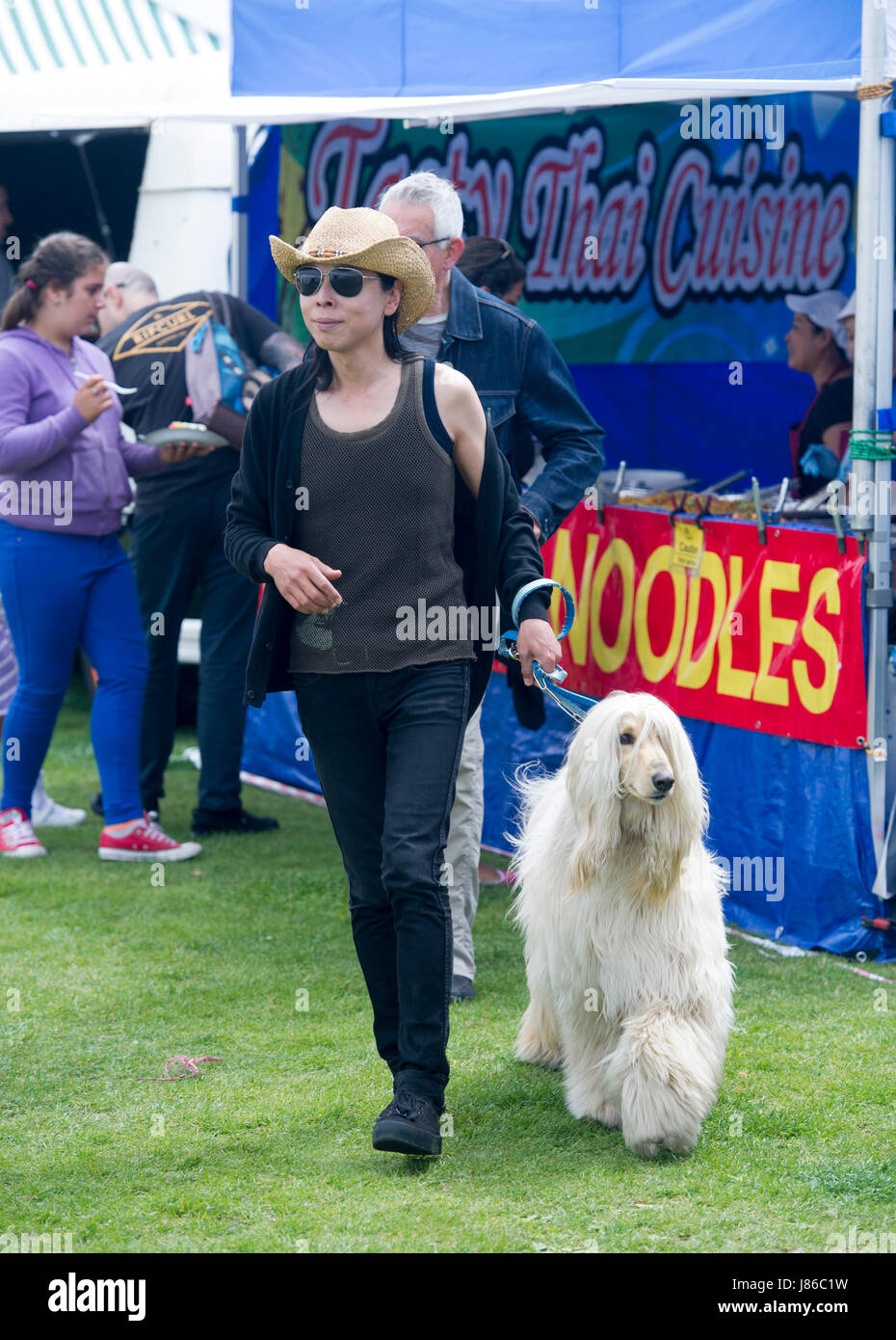 Brighton, UK. 27. Mai 2017. Ein Afghanischer Windhund genießt das Brighton und Hove Essen und trinken Festival auf Hove Rasen heute Credit: Simon Dack/Alamy Live News Stockfoto