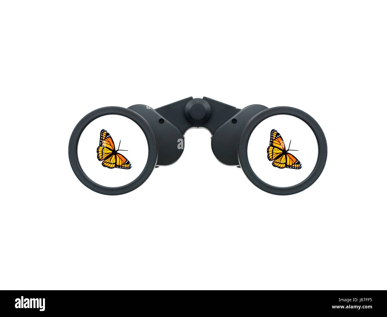 Glas, Kelch, Becher, Objekt, isoliert, Model, Design, Projekt, Konzept, Stockfoto