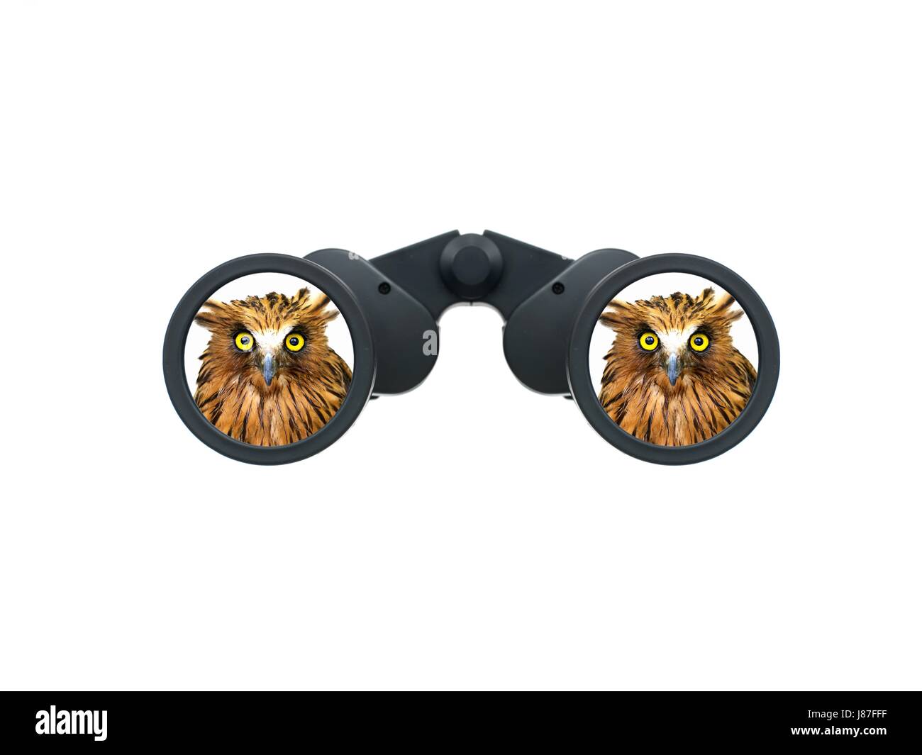 Glas, Kelch, Becher, Objekt, isoliert, Model, Design, Projekt, Konzept, Stockfoto