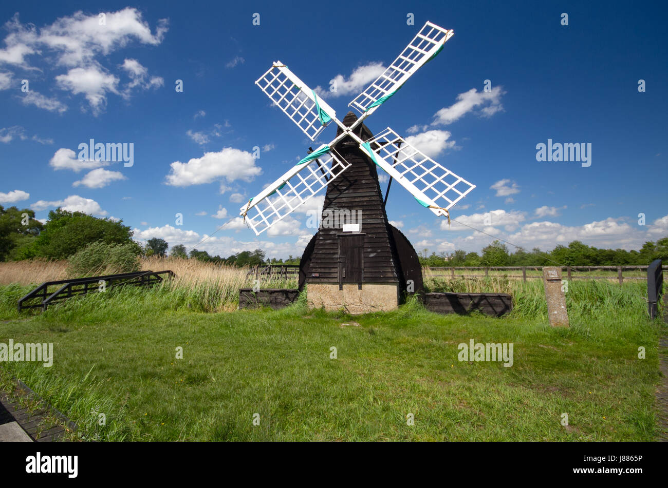 Windmühle am Wicken Fen, Cambridgeshire, Großbritannien Stockfoto