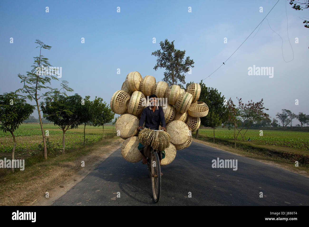 Ein Mann trägt Bambuskörben auf seinem Fahrrad. Meherpur, Bangladesch Stockfoto