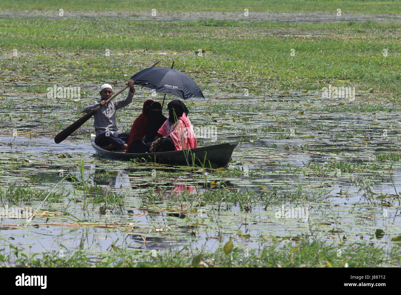 Blick auf die Arial Beel, eine große Wasserfläche von 136 Quadratkilometern südlich von Dhaka zwischen Padma und Dhaleshwari River. Sreenagar, Munshi Stockfoto