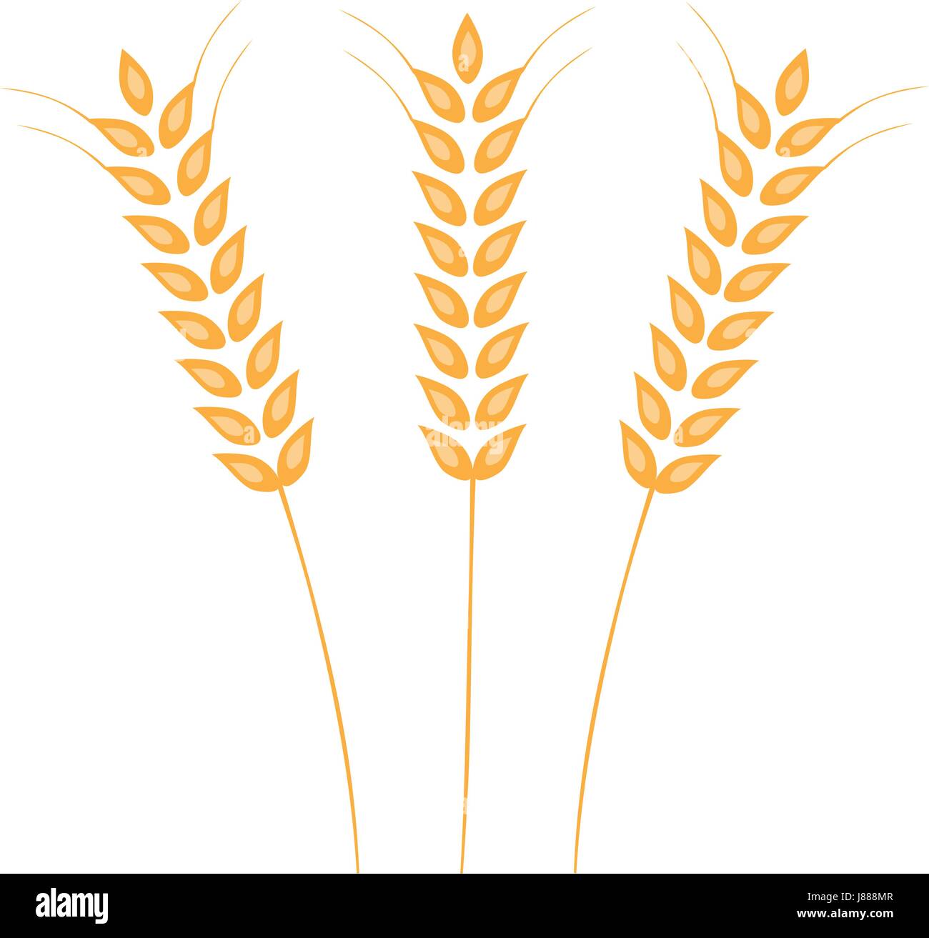 Vektor-Illustration der Ohren von Weizen, Gerste oder Roggen. Ideal für die Verpackung von Brot. Vektor Icon. Stock Vektor