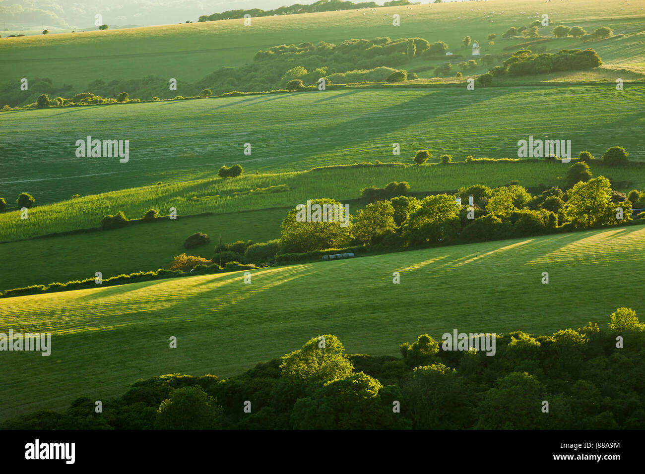 Frühling am Abend in South Downs National Park, East Sussex, England. Stockfoto