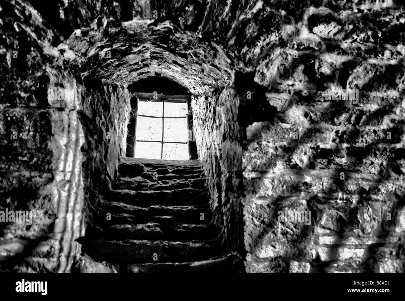 Ein Keller von einer alten Burg, Deutschland, Europa Stockfoto