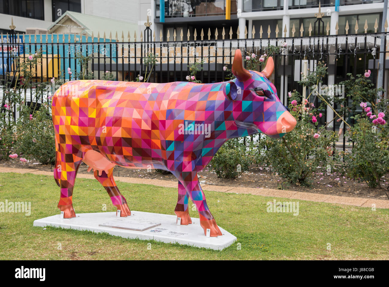Perth, WA, Australien-November 16,2016: Vibrantly bemalte Kuh-Kunst-Installation außerhalb der Perth Mint in der Innenstadt von Perth, Westaustralien. Stockfoto