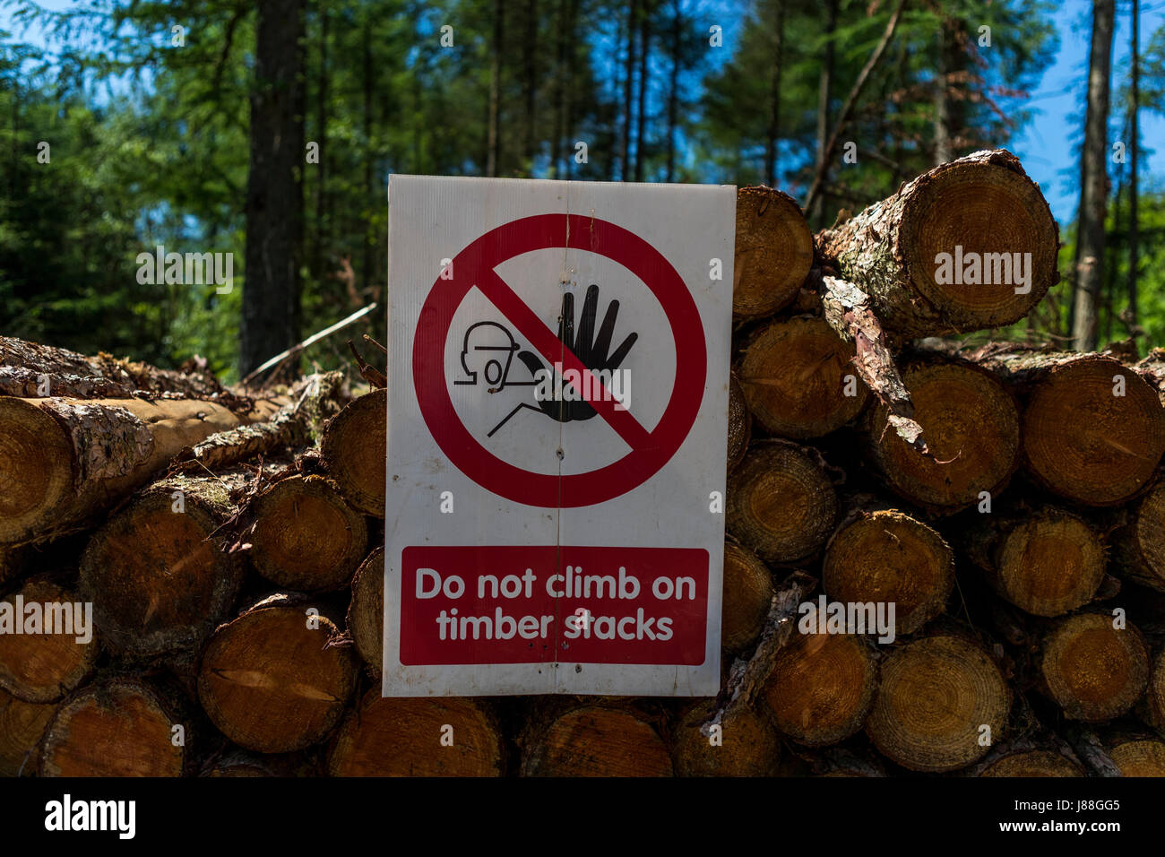 Halten Sie die Protokolle Warnzeichen. Worgreens und Speech House Holz, Wald von Dean. Großbritannien Stockfoto