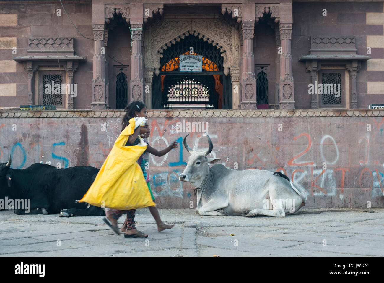 Zwei Kinder tragen Säcke wiederverwertbare Objekte, die sie, von den Straßen in Jodhpur, Rajasthan, Indien gesammelt haben Stockfoto