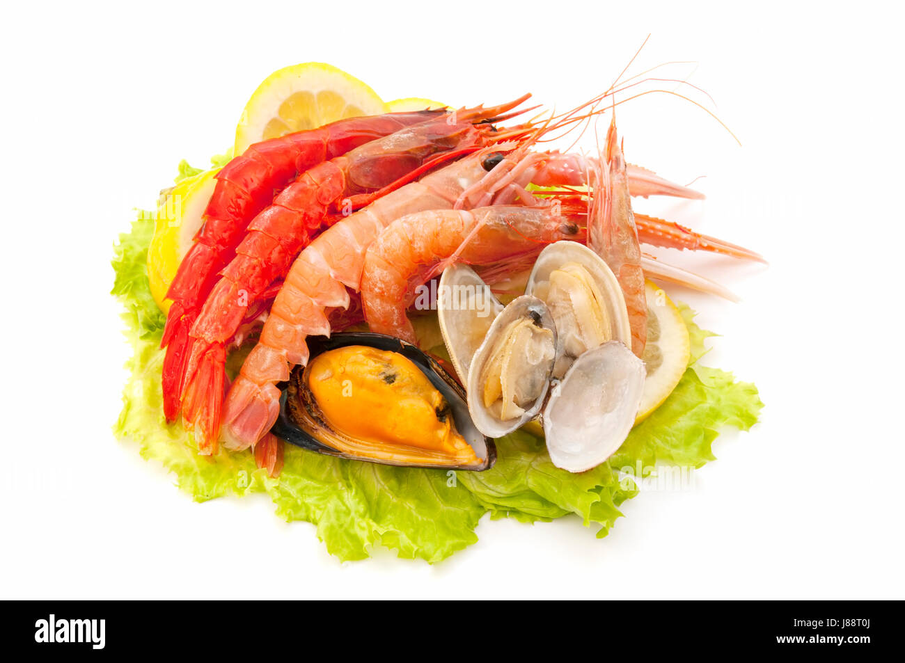 Meeresfrüchte, Krabben, Garnelen, Krebse, Muscheln, Lebensmittel, Nahrungsmittel, isoliert, Tiere, Stockfoto